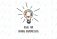 DAVINES